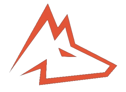 WOLFiBoard Logo